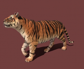 Modern Mammal-ID:975508935