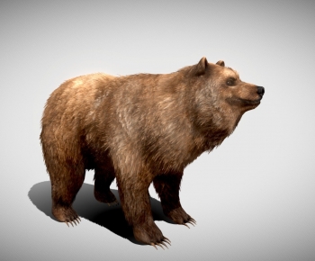 Modern Animal-ID:118177899