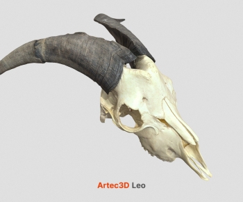 Modern Animal-ID:974734071