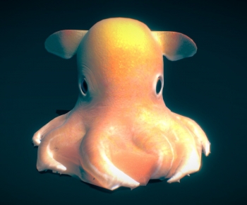 Modern Animal-ID:988439081