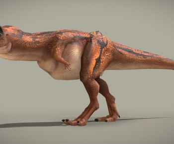 Modern Animal-ID:785208941