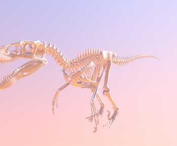 Modern Other-ID:913055901