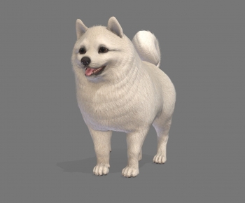 Modern Animal-ID:798747063