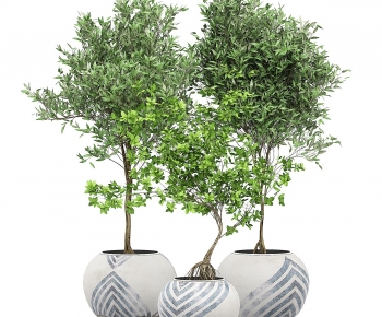 Modern Ground Green Plant Potted Plants-ID:794460812