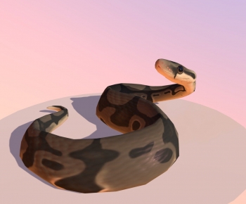 Modern Reptile-ID:105146886