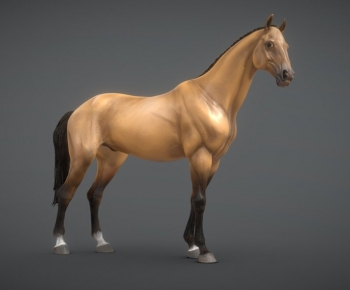 Modern Animal Horse-ID:722225903