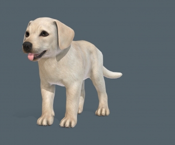 Modern Animal Dog-ID:249353892