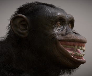 Modern Mammal-ID:392069887