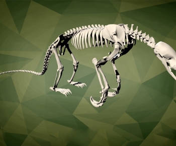 Modern Robot-ID:459438099