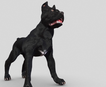 Modern Animal-ID:137411123