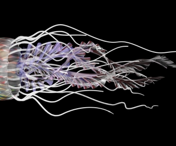 Modern Animal-ID:607585917