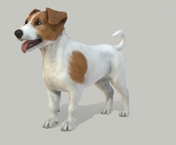 Modern Animal-ID:805042985