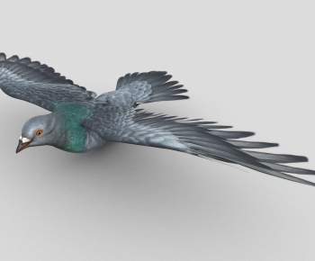 Modern Flying Animals-ID:115784888