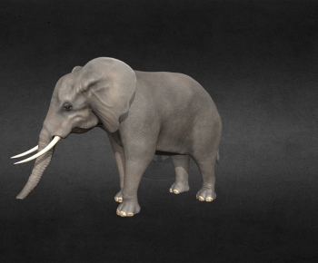 Modern Mammal-ID:887279544