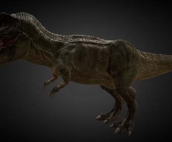 Modern Other Animals-ID:441205984