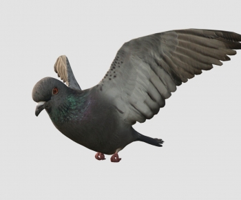 Modern Animal-ID:601154099