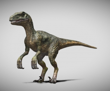 Modern Other Animals-ID:870428092