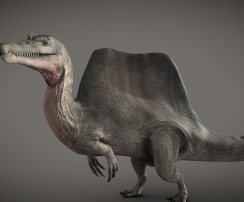 Modern Other Animals-ID:799310263