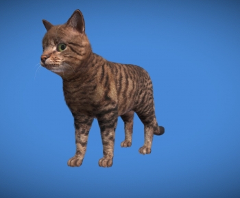 Modern Animal Cat-ID:756220102