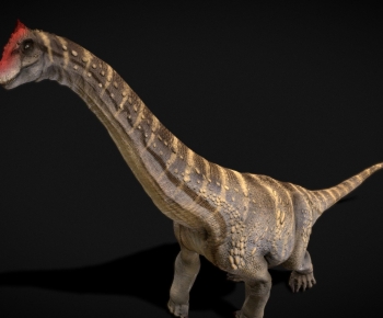 Modern Animal-ID:767258889