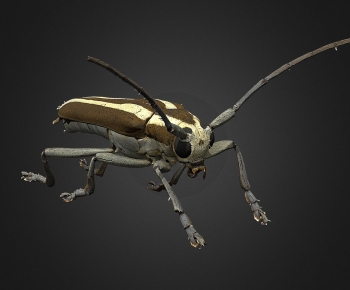 Modern Robot-ID:921578886