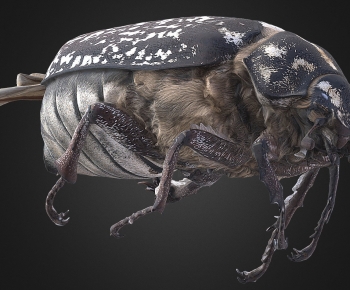 Modern Other Animals-ID:102200536