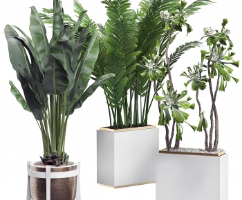 Modern Ground Green Plant Potted Plants-ID:206521992