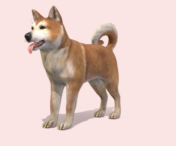 Modern Animal Dog-ID:522429946