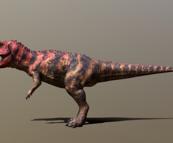 Modern Other Animals-ID:619438893