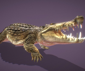 Modern Reptile-ID:753227951