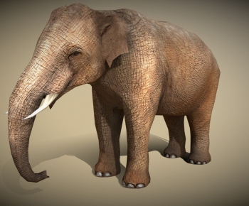 Modern Mammal-ID:635216004