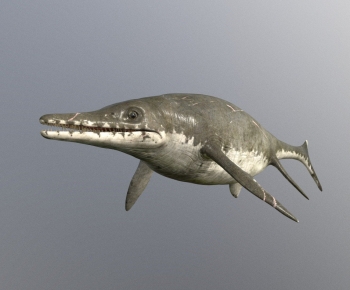 Modern Aquatic Animals-ID:759649042