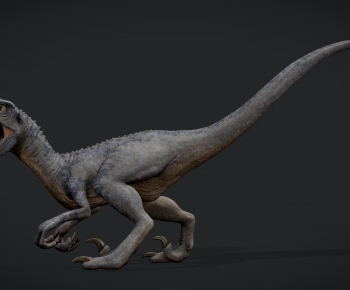 Modern Other Animals-ID:719227088