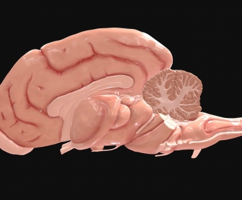 Modern Robot-ID:176809076