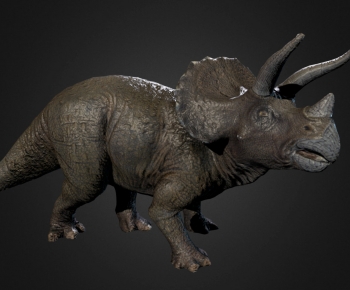 Modern Other Animals-ID:225246915