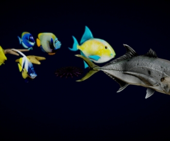 Modern Aquatic Product-ID:945333004