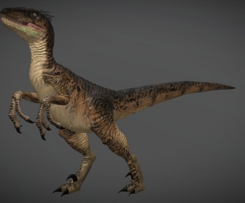 Modern Other Animals-ID:792433027