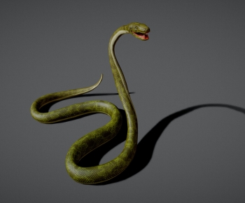 Modern Reptile-ID:752269036