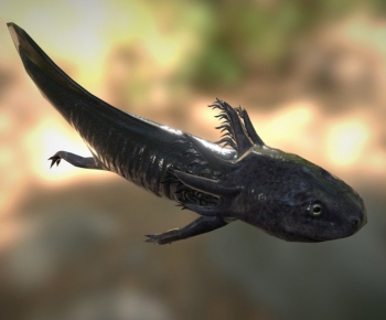 Modern Reptile-ID:577836048