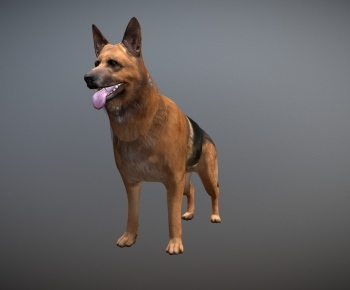 Modern Animal Dog-ID:191953906