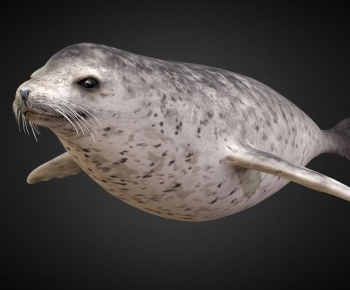 Modern Mammal-ID:492839834