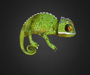 Modern Reptile-ID:473294977