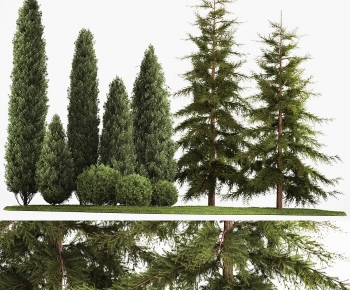 Modern Tree-ID:894592054