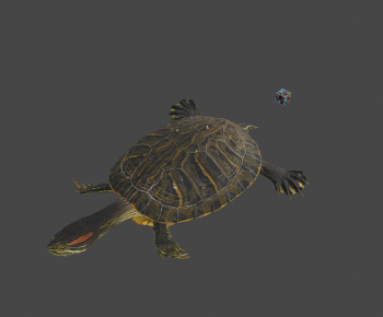 Modern Reptile-ID:865801109