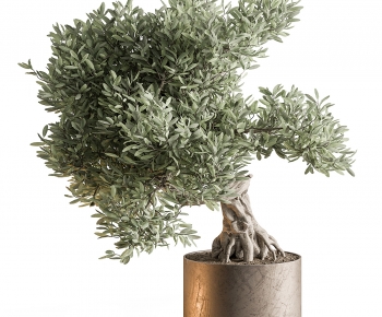 Modern Ground Green Plant Potted Plants-ID:324537991