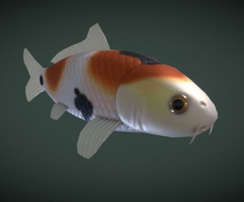 Modern Aquatic Animals-ID:588139068