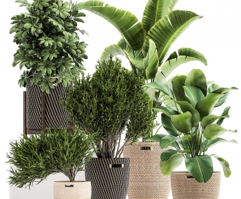 Modern Ground Green Plant Potted Plants-ID:101409077