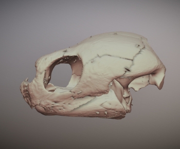 Modern Medical Equipment-ID:710731986