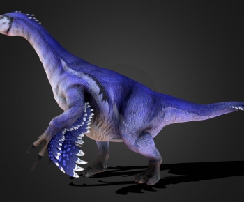 Modern Other Animals-ID:745889901