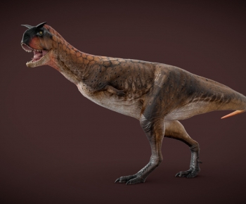 Modern Other Animals-ID:230910069